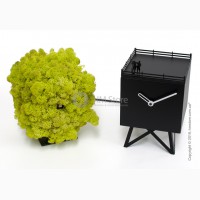 Превосходные настольные часы Progetti Birdwatching Clock