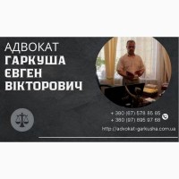 Юридическая консультация в Киеве