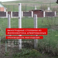 ЗБВ вироби, кільця, поребрик, бордюри, європаркан, шлакоблок, тротуарна плитка