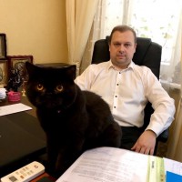 Адвокат в Киеве. Адвокат по уголовным делам