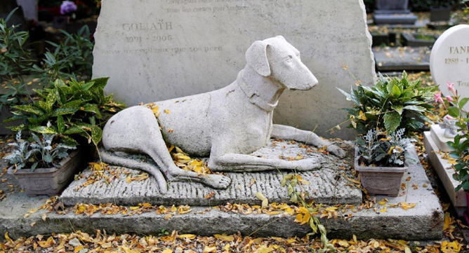 Фото 5. Скульптурное надгробие для домашнего животного под заказ h