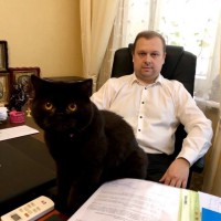 Помощь адвоката в делах о ДТП в Киеве