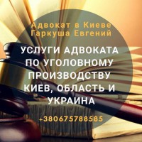 Адвокат в Киеве. Юридическая помощь в Киеве
