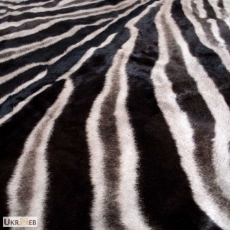 Шкура зебры из ЮАР - атрибут африканского сафари. Африканский дизайн интерьера